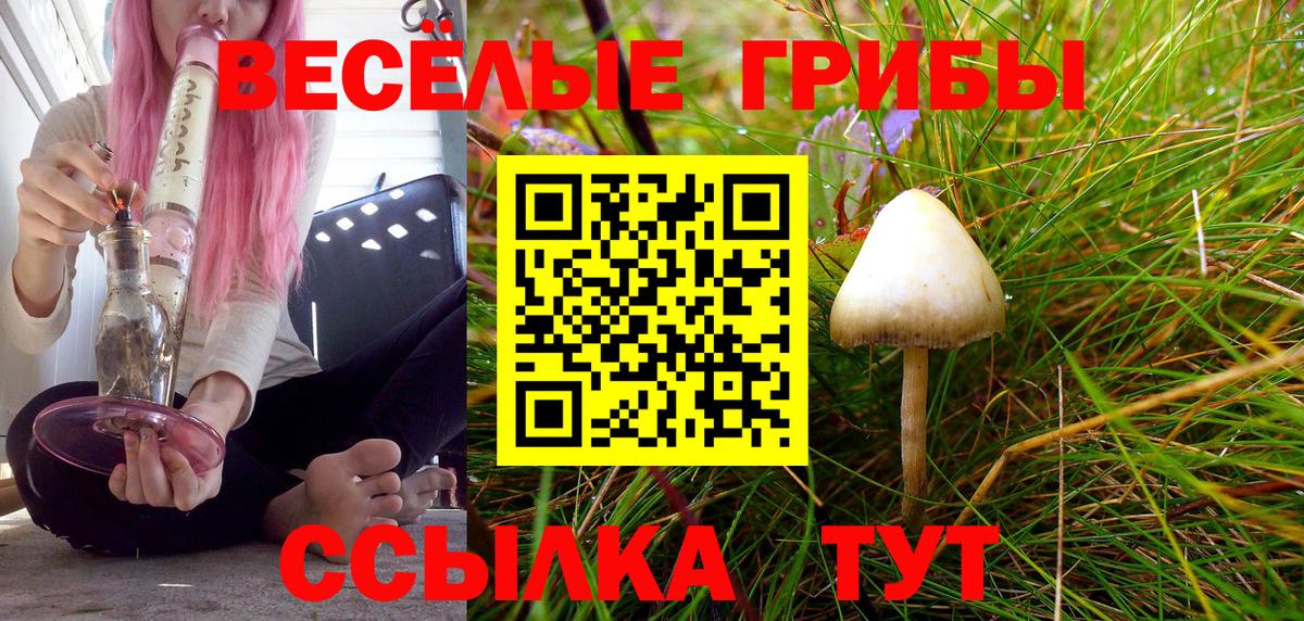 Галлюциногенные грибы мухоморы  Псилоцибиновые грибы Psilocybine cubensis  Вход с VPN  Брянск 