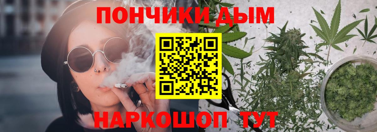 Каннабис сатива Брянск